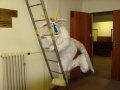 DSC00299.JPG